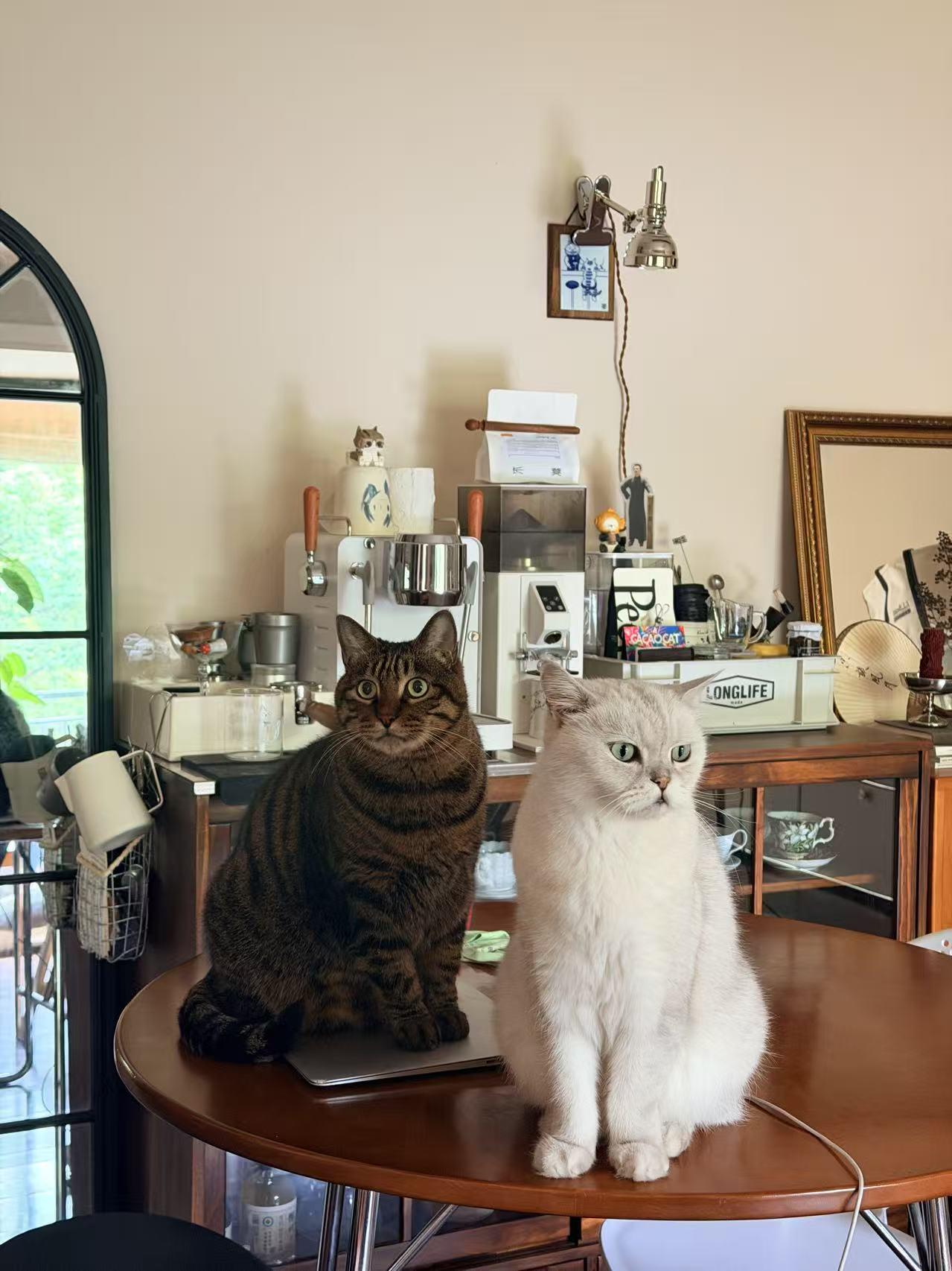 futuristic elegance by weshop ai