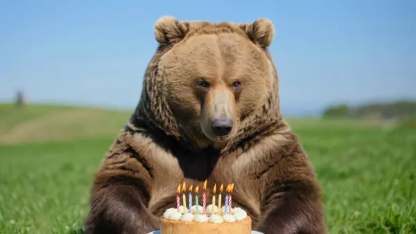 ai birthday video maker by weshop ai