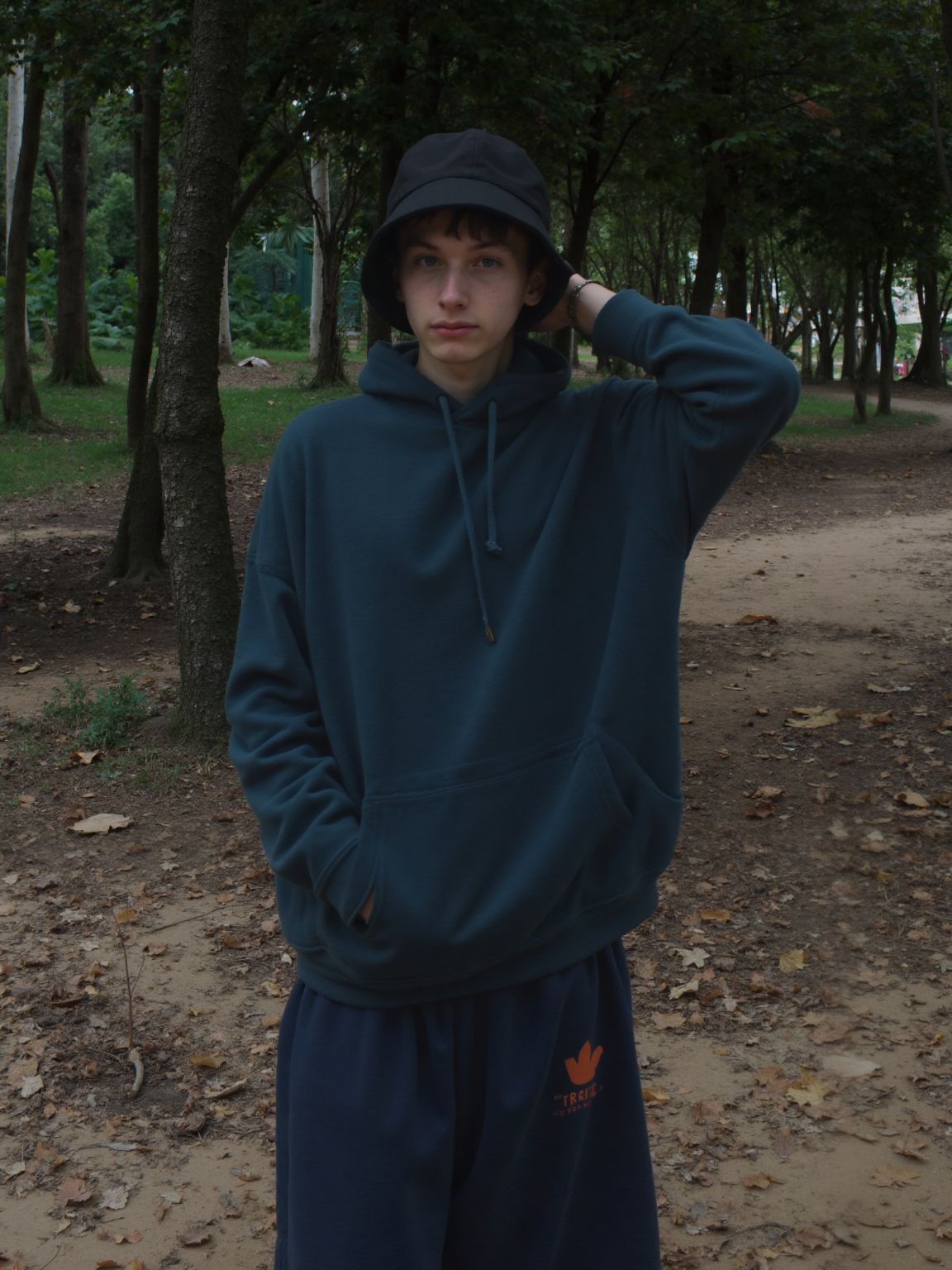 Location - Forest path with trees