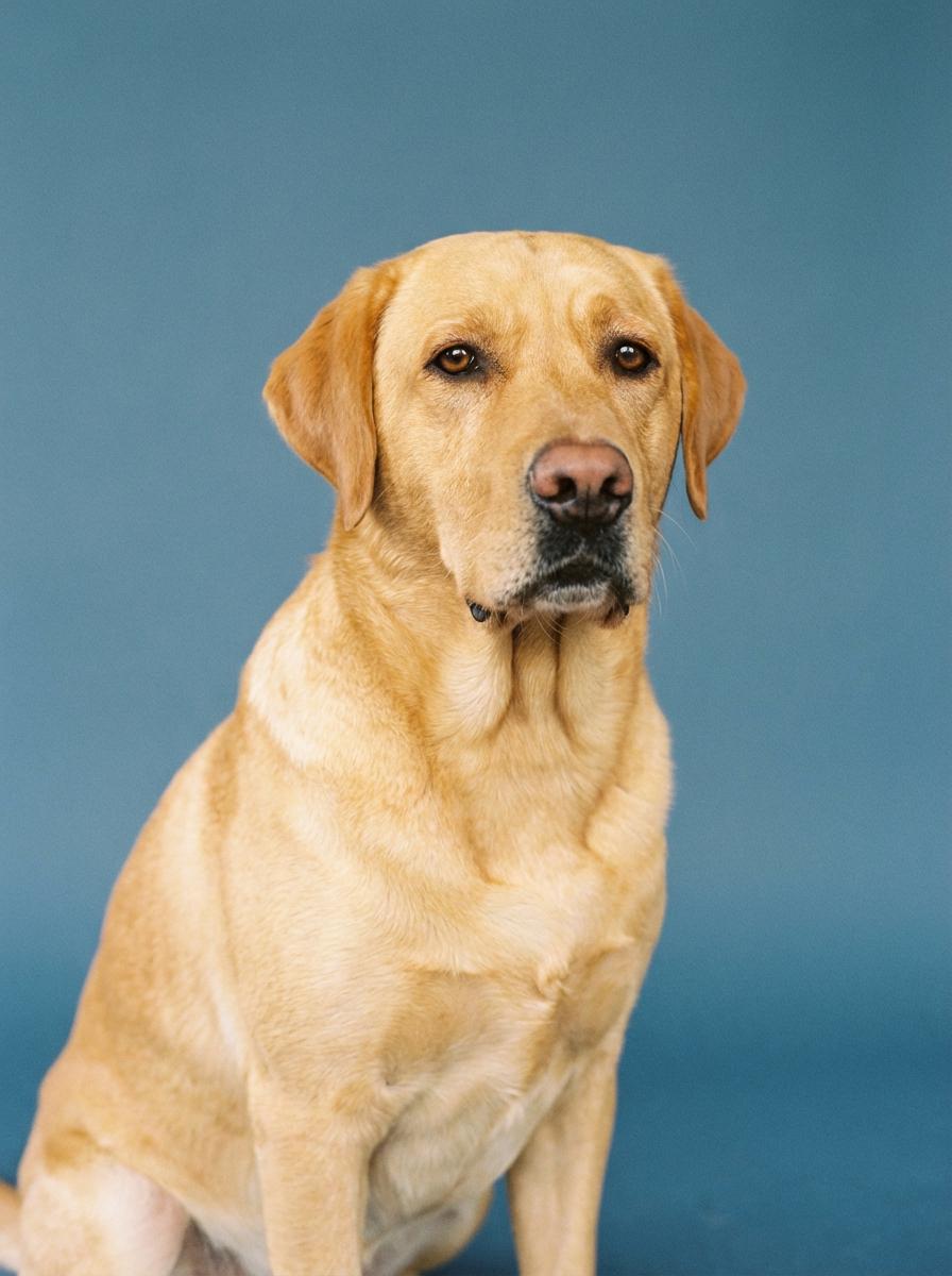 ai 3d rendering by weshop ai