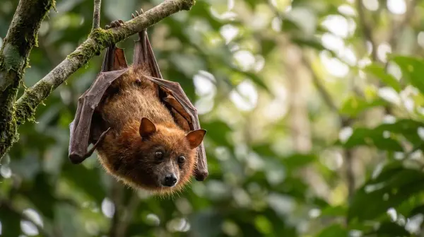 random animal generator by weshop ai