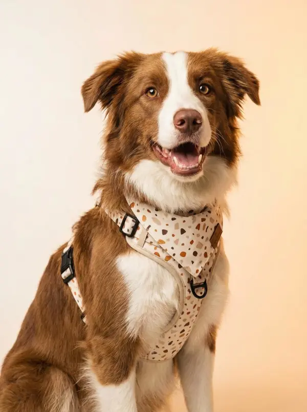 ai photoshoot by weshop ai