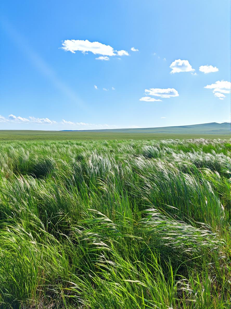 ghibli style image generator by weshop ai