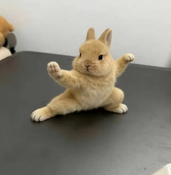 ai singing animal free by weshop ai