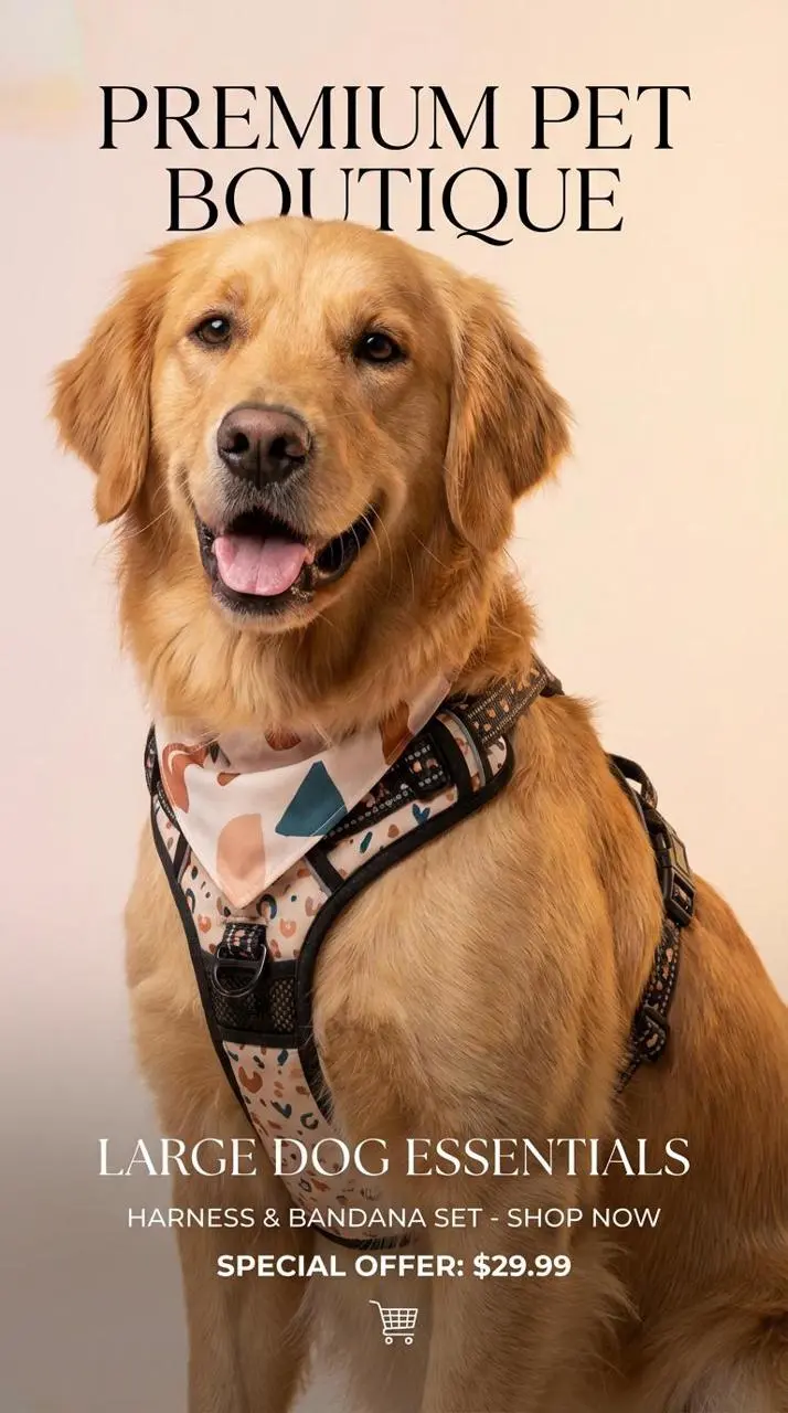 ai photoshoot by weshop ai