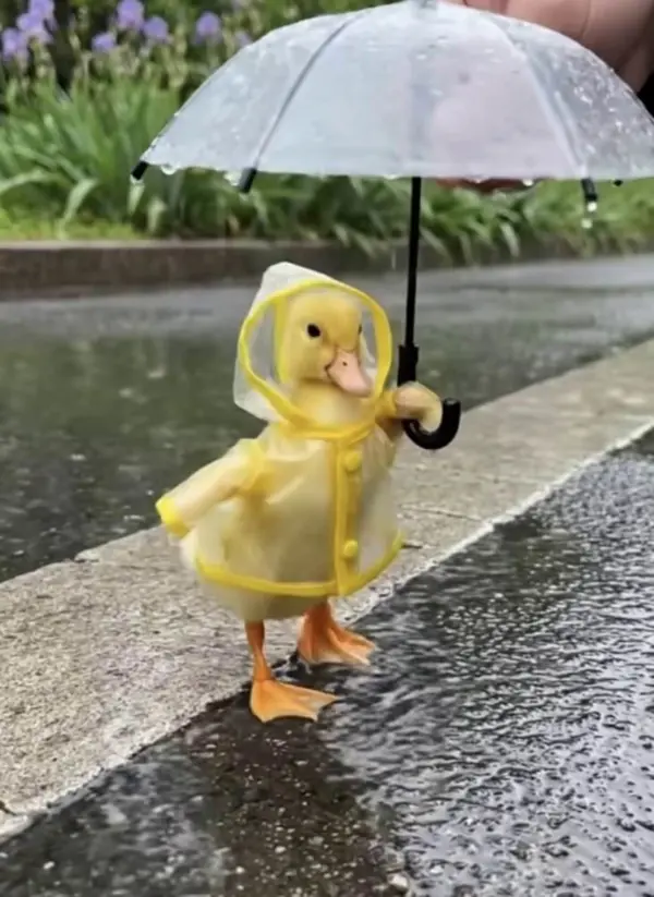 ai singing animal free by weshop ai