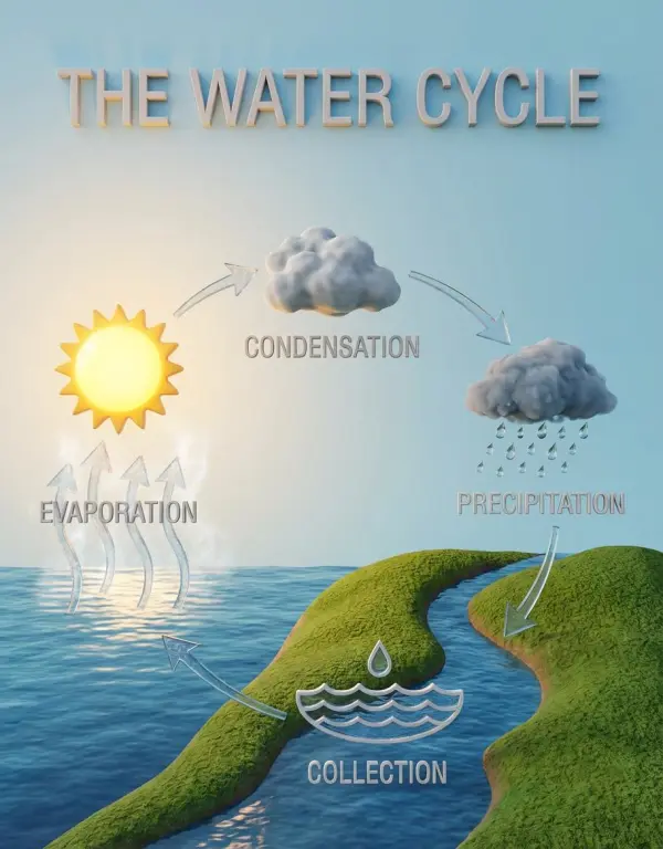 2d to 3d image converter by weshop ai