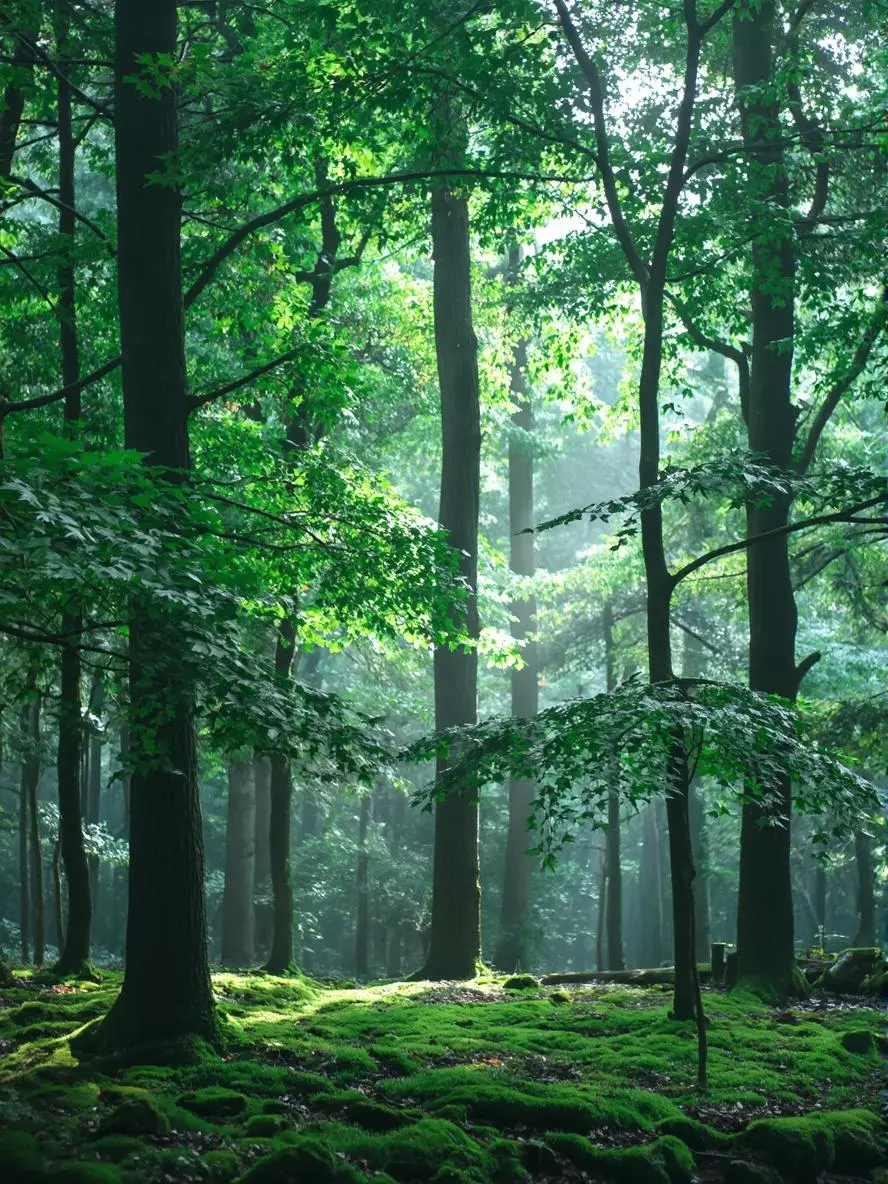 generator anime ai oleh weshop ai