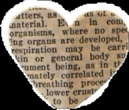 free ai photo collage maker by weshop ai