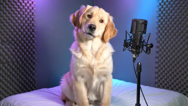 ai singing animal free by weshop ai