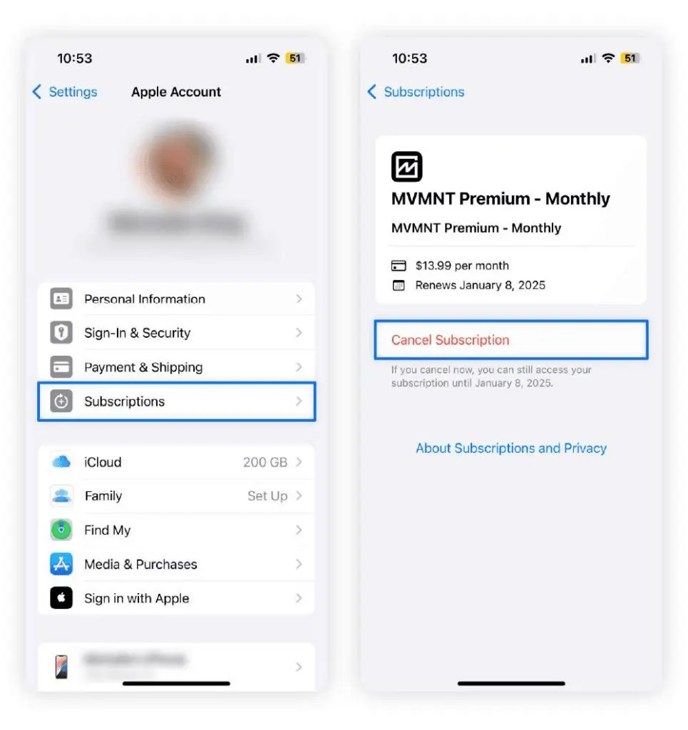 Step 4: Tap “Cancel Subscription”